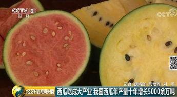 黑料吃瓜网apk普通安装 